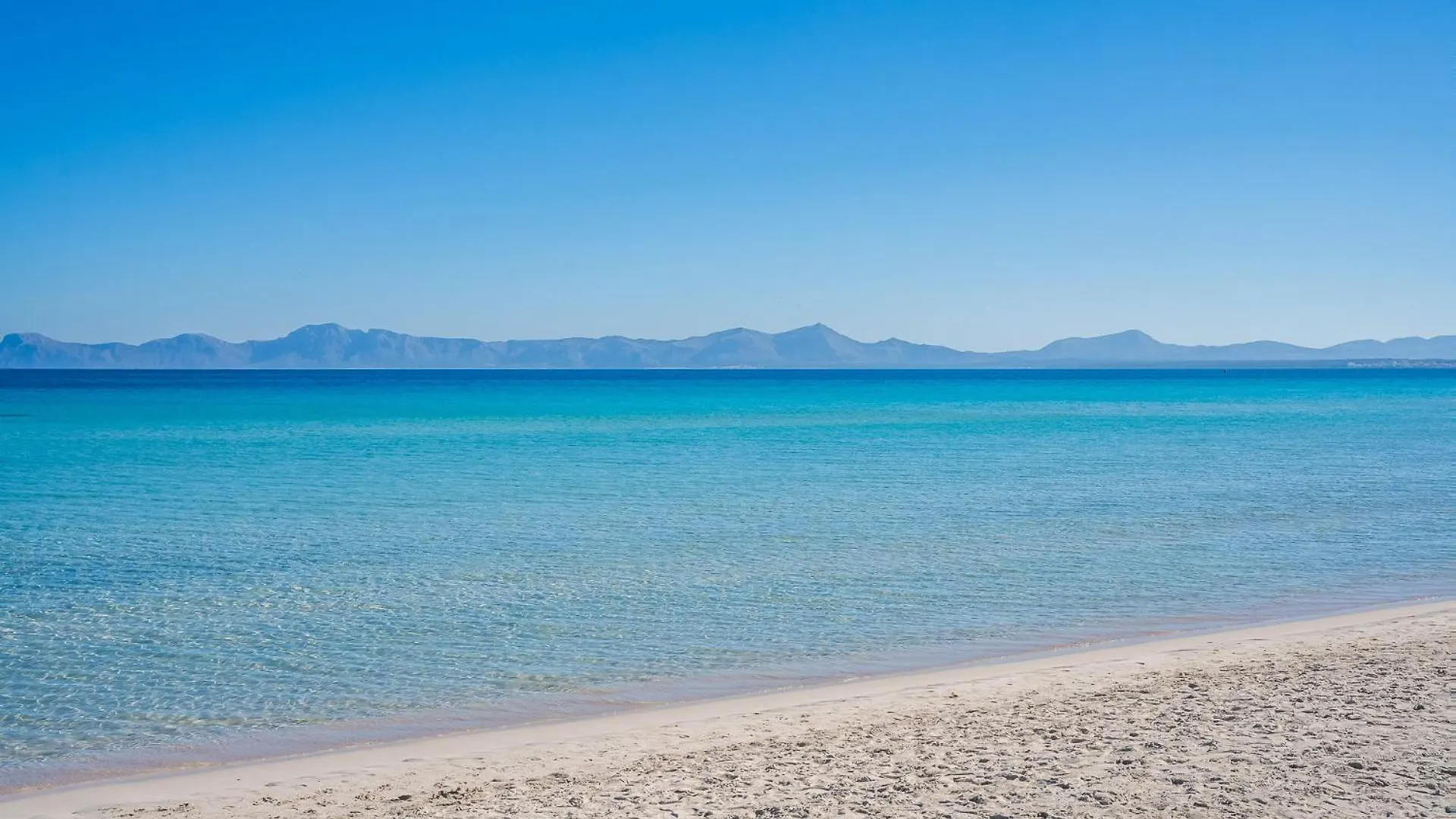 Ideal Property Mallorca - Alcudia Beach Apartamento