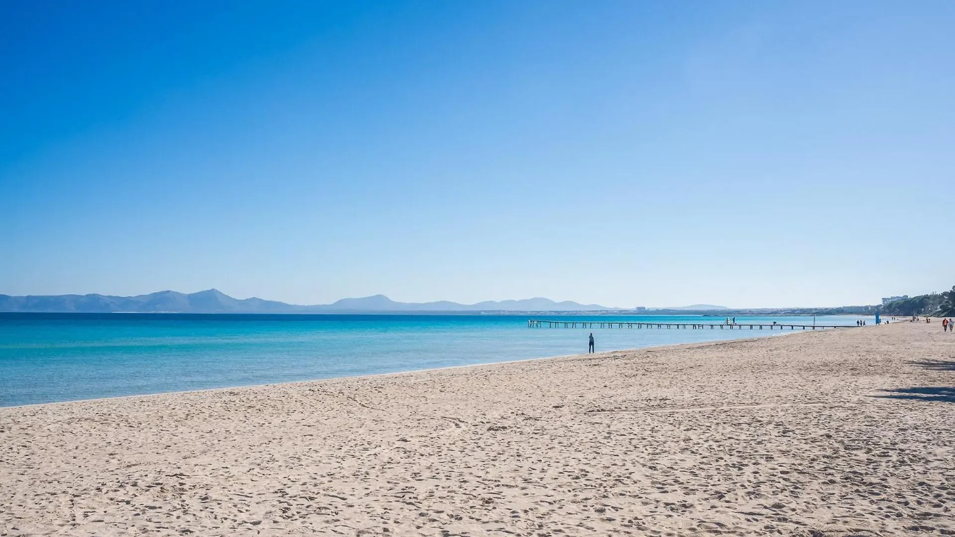Ideal Property Mallorca - Alcudia Beach